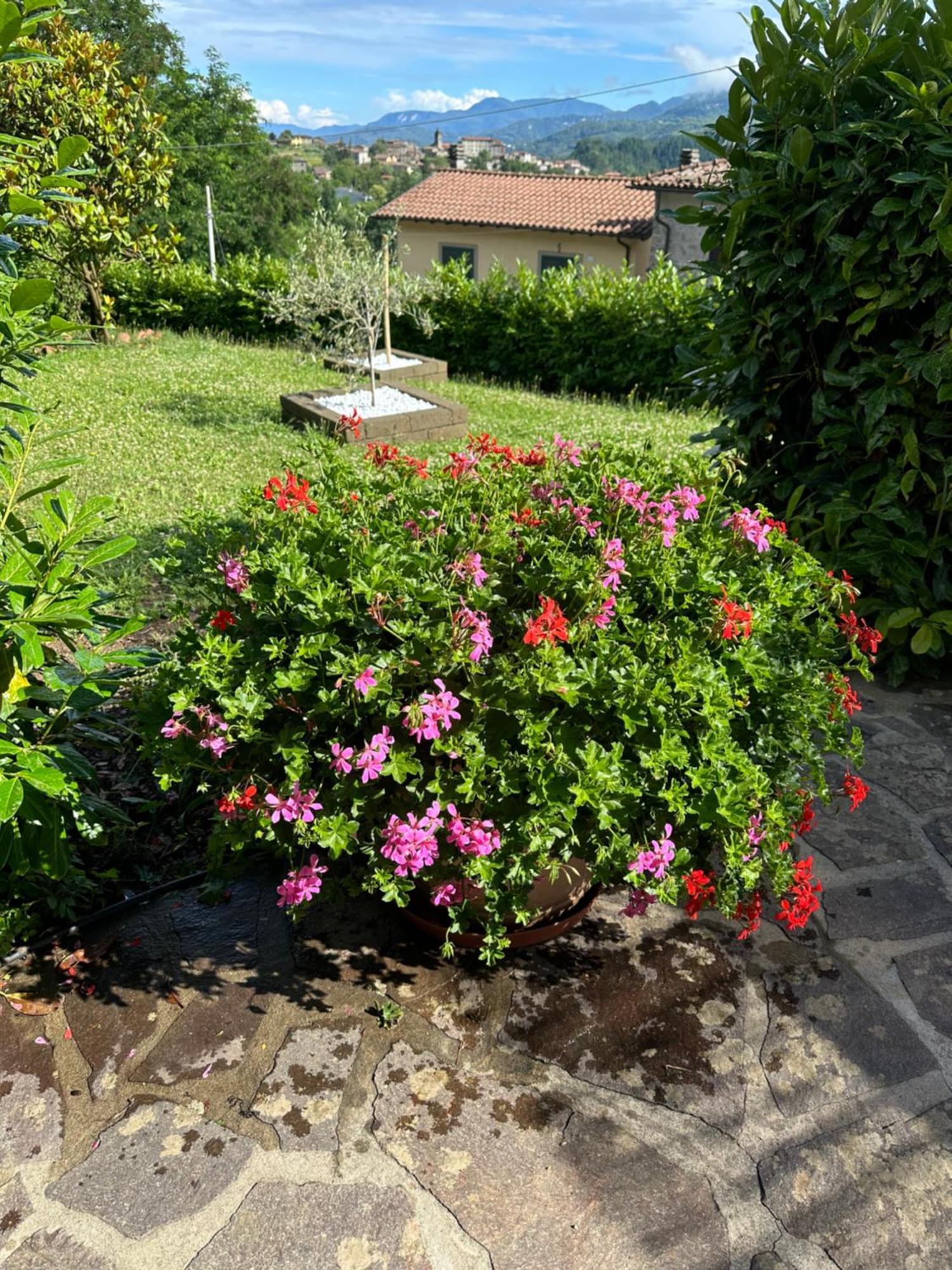 Casa Margherita Celide San Romano Kültér fotó